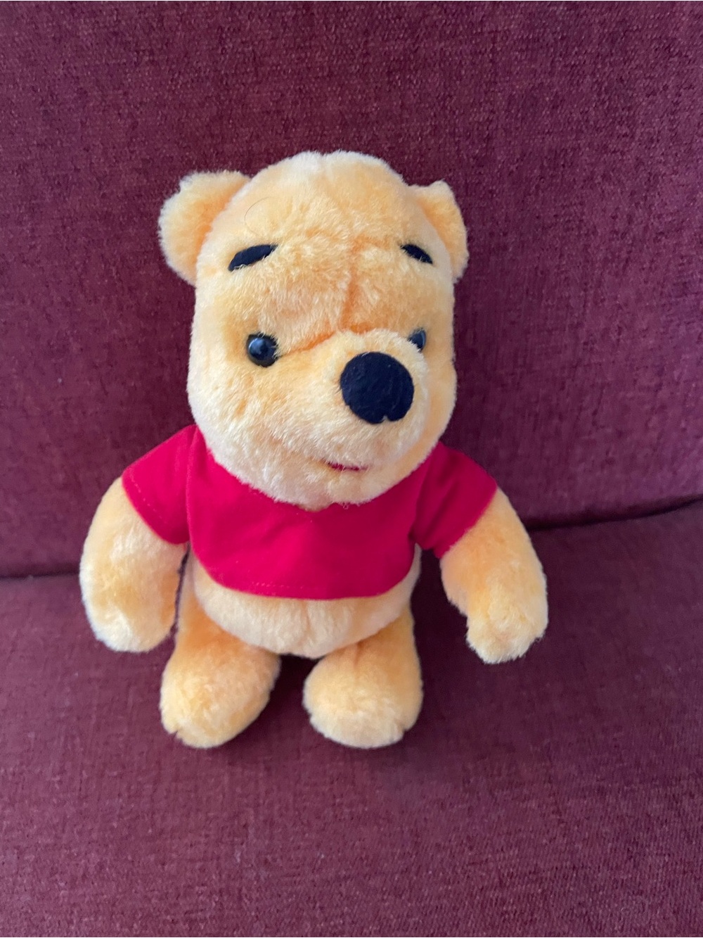 Vintage Winnie the Pooh - Kids Stuffed Animal